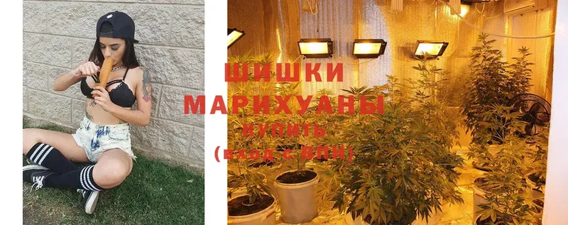 МАРИХУАНА LSD WEED  Кологрив 